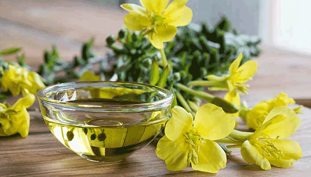 Evening primrose oil to help with ovulation