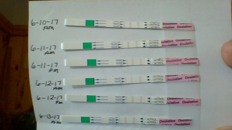 OPK test results