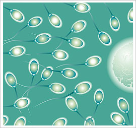 Male Factor Infertility & Low Sperm Count