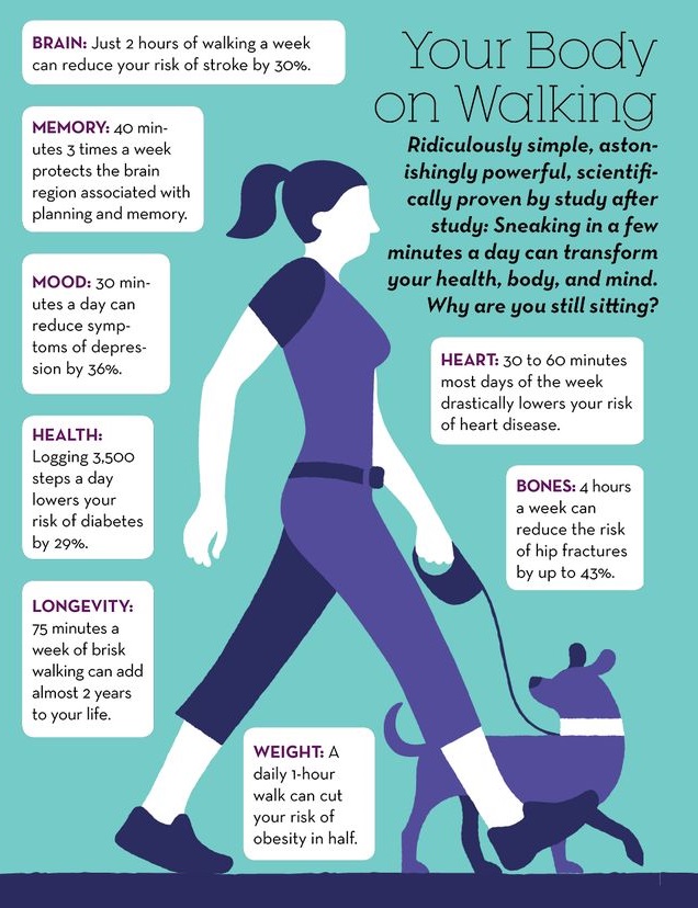 benefits of walking to fertility