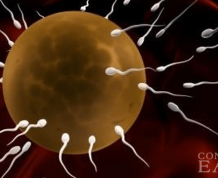 Ways to Increase Sperm Mobility