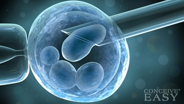 In Vitro Fertilization Financial Assistance