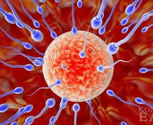 Major Male Infertility Problems