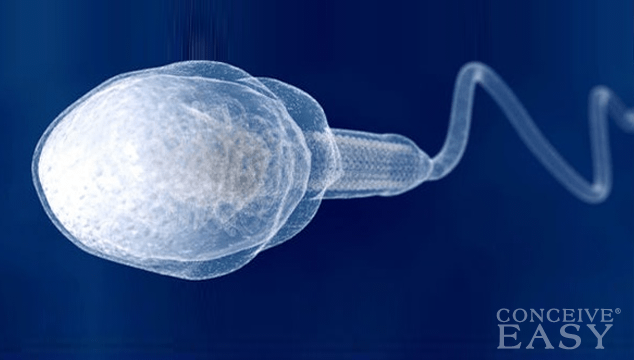 Treatment for Male Infertility