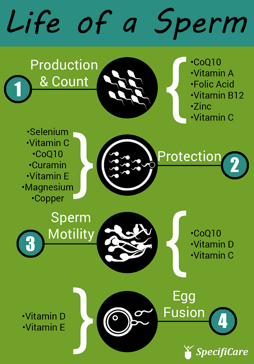 Folic acid and its benefits to male fertility