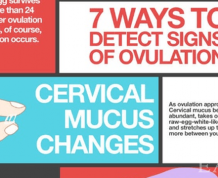 When Do I Ovulate and How Do I Know?