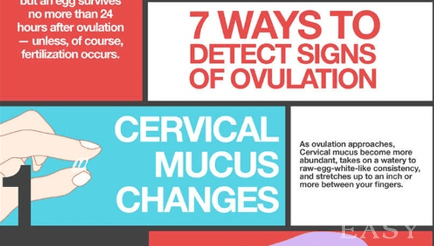 When Do I Ovulate and How Do I Know?