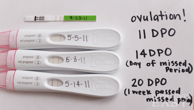 What is Molar Pregnancy (Hydatidiform Mole)?