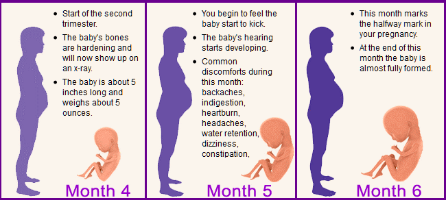 second trimester pregnancy with tilted uterus