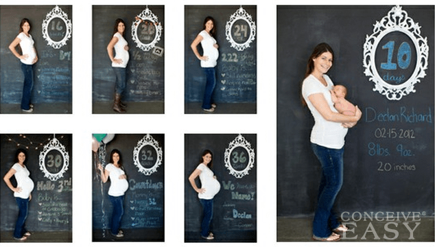 Different Stages of Pregnancy