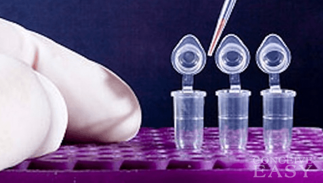 Genetic Testing Before and During Pregnancy