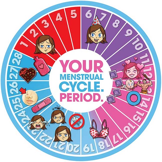 woman's guide to menstrual cycle and ovulation