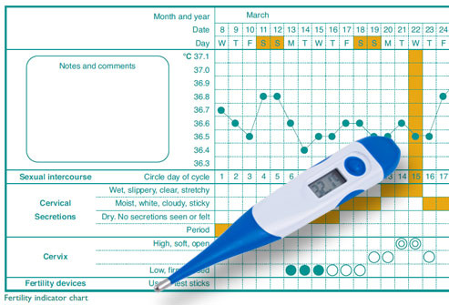 bbt thermometer