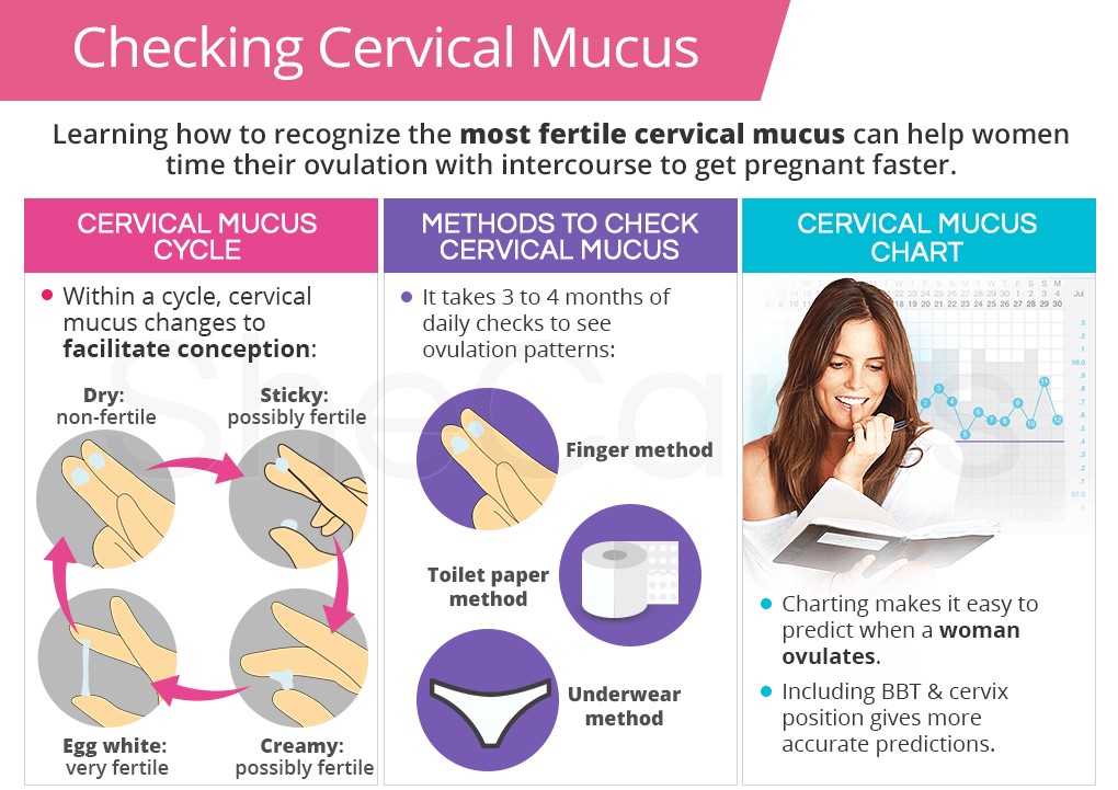 checking-cervical-mucus