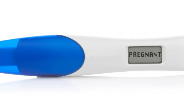 How do Pregnancy Tests Work?