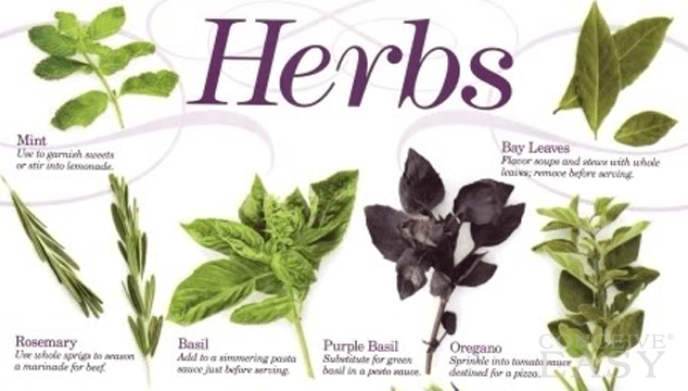 Categories of Herbs Safe in Pregnancy