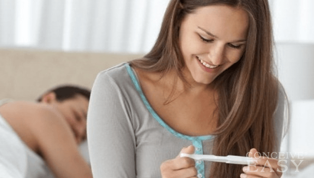 hCG Hormone in Early Pregnancy