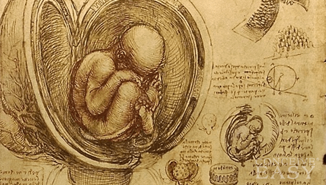 How Does Nutrition Get from the Placenta to the Fetus?