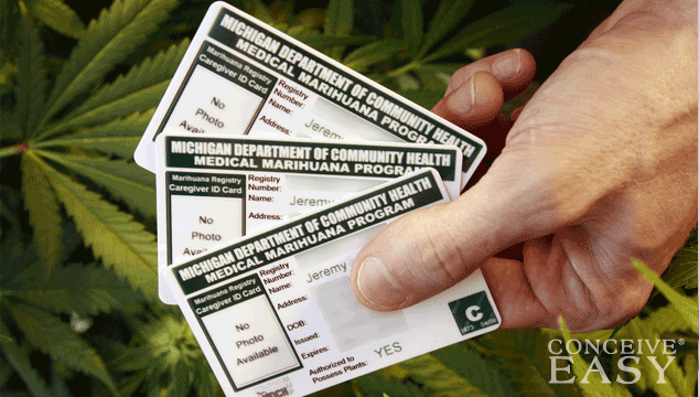 Octomom Nadya Suleman Now Owns Medical Marijuana Card