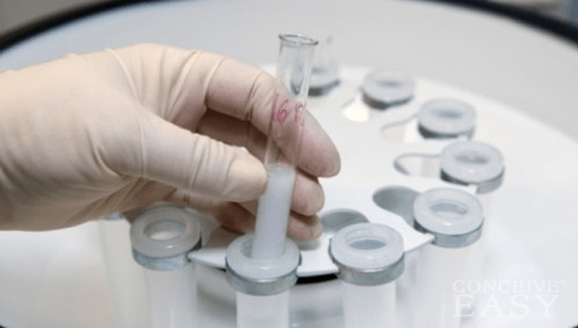 PGD and Frozen Embryo Transfer