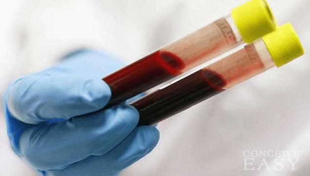 Blood Testing During Pregnancy