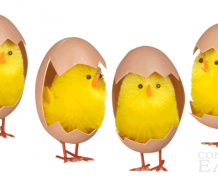 Study: 90 Percent of Eggs Gone by Age 30?