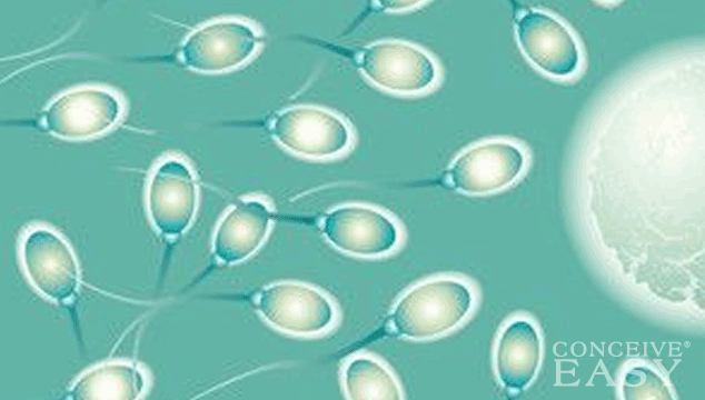 What Does An Abnormal Semen Analysis Mean?