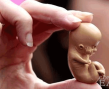 Shock: Baby Born from Embryo Frozen for 20 Years!