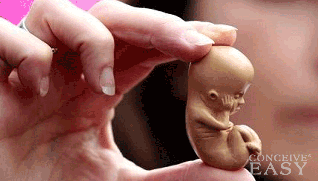 Shock: Baby Born from Embryo Frozen for 20 Years!