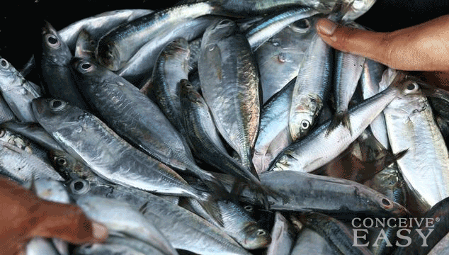 Which Foods Should You NOT Eat When Pregnant?