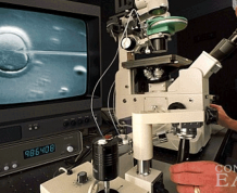 What Is Intracytoplasmic Sperm Injection (ICSI)?