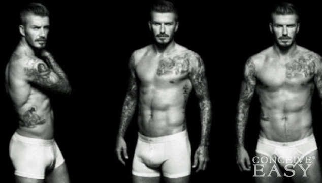 Do Men With Smaller Testicles Make Better Fathers?