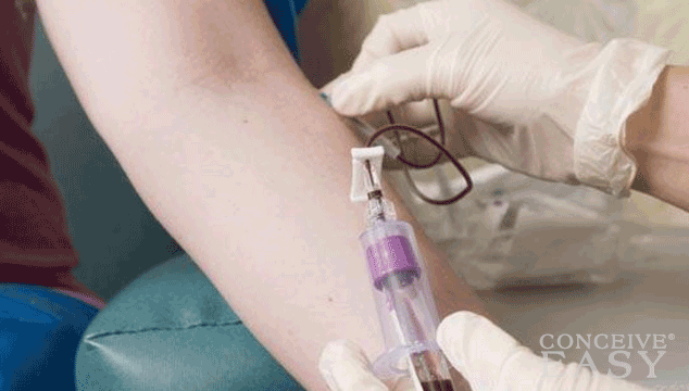 Which Prenatal Tests Will I Get?