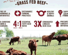 Is Grass-Fed Beef Better for Fertility?