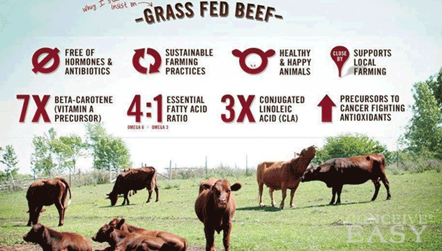 Is Grass-Fed Beef Better for Fertility?