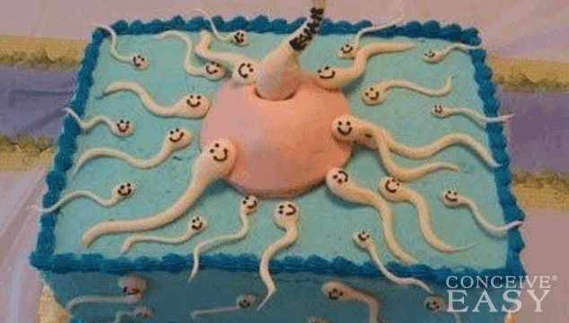How Many Days Do Sperm Live?