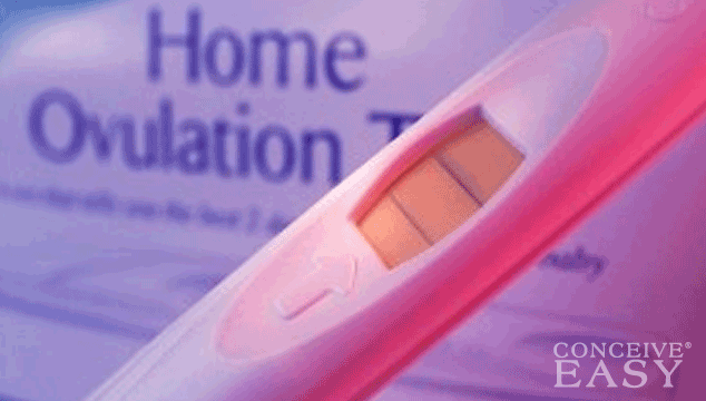 Can You Get a Positive OPK When Pregnant?