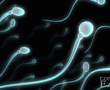 What are the Steps if I am Ready to Use Donor Sperm?