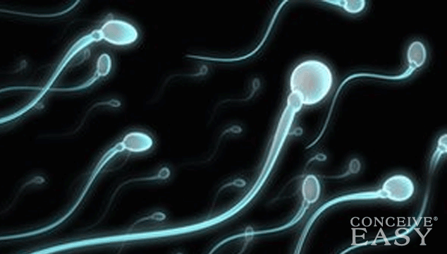 What are the Steps if I am Ready to Use Donor Sperm?