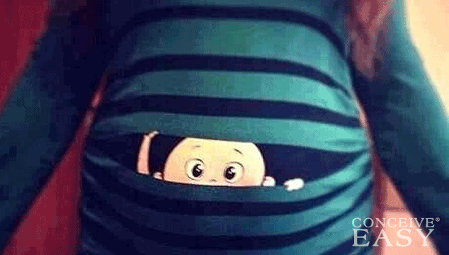 Can You Get Pregnant with No Period?
