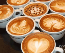 risks of caffeine before pregnancy conception