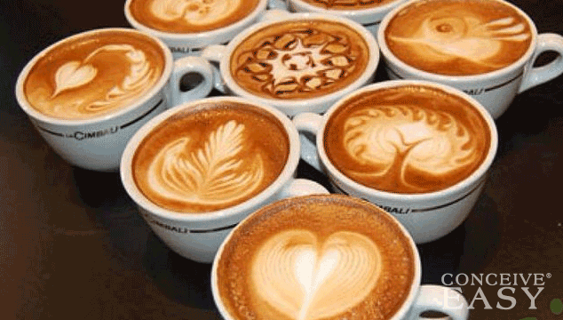 risks of caffeine before pregnancy conception