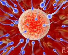 10 Ways He Can Have Better Baby-Making Sperm