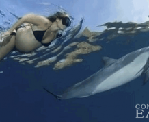 Dolphins as Doulas for a Waterbirth?