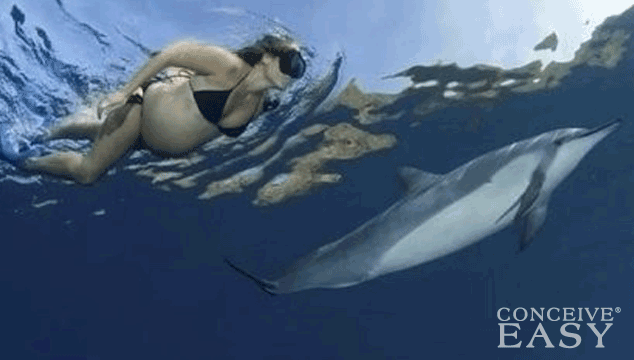 Dolphins as Doulas for a Waterbirth?