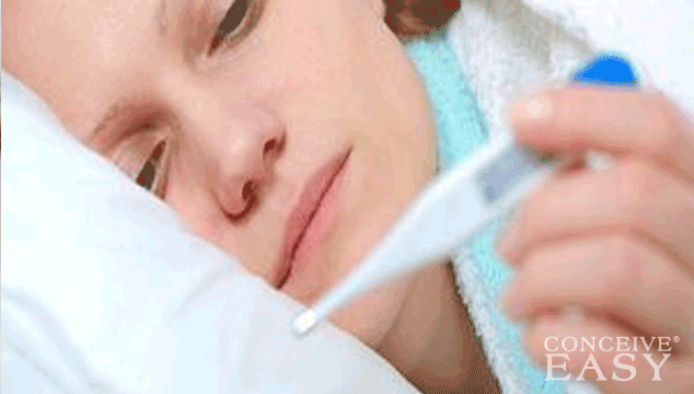 Signs of Ovulation But No Cervical Mucus