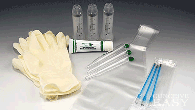 What Is a Home Insemination Kit?