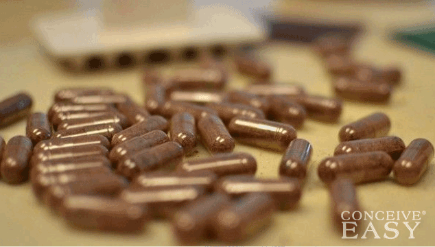 What is Placenta Encapsulation and How Much is it?