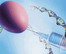 Pre-implantation Genetic Diagnosis Makes Sex Selection Easy