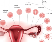 What's the Difference between Implantation Bleeding and Period?